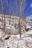IMG19791.jpg