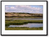 Nicolle marsh