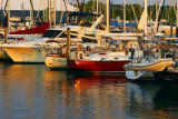DSC_0681.jpg