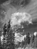 Mt. Rainier, Cloud Hoopla