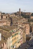 Siena