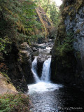 Englishman River Falls.jpg