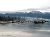 Deep Bay Vancouver Island.jpg