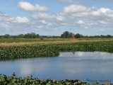 Livingstone Lagoons 3.JPG