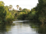 Small channel 1 Zambezi River, Livingstone.JPG