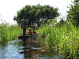 Travelling the Okavango Delta by mokoro 9.JPG