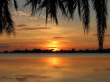 Sunrise 1 - Okavango Delta.JPG