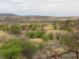 The desert 1 - Petrified Forest.JPG