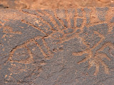 Scorpion rock carving 1 - Twyfelfontein.JPG