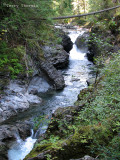 Lower Little Qualicum Falls 9a.jpg