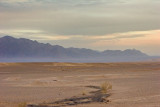 Central Desert