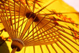 Yellow Parasol