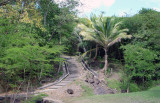 Deshaies - Guadeloupe