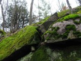 mossy rocks - 1