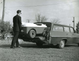 Penguin being loaded into station wagon