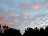 Dawn