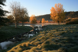 Fall-Pond-2A.jpg