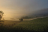 Dawn-Fog