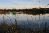 Winter Sunset over Pond.jpg