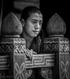 Monk at Paro Dzong