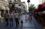 Belgrade Streets