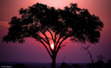 KrugerSunset2