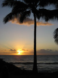 Maui Sunset