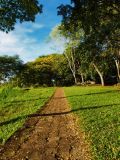 A pleasant walk / Una caminata placentera