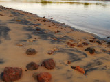 800PC091776.jpg