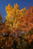 CRW_1329.jpg