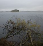 Gladhouse Reservoir