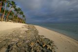 Coral reef beach 3