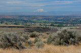 Yakima