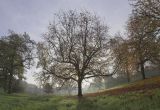 Borde Hill