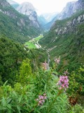 Stalheim Canyon