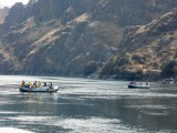 Lots of Float Trips in Hells Canyon