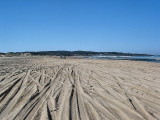 Dune Tracks