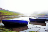 Seaton Sluice on a Foggy Afternoon