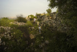 L1002641.jpg