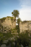 L1002658.jpg