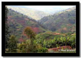 Land of a Thousand Hills, on the way to Kibuye, Rwanda