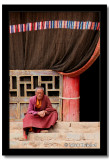 Pensive Monk, Central Tibet