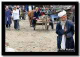 White Turban Wandering the Hotan Market, Hotan,  East Turkistan (Xinjiang)