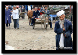 White Turban Wandering the Hotan Market, Hotan, East Turkistan (Xinjiang)