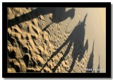 Camel Shadows, Dunhuang, Gansu, China