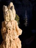 <B>Light Dance</B><BR> - Bryce Canyon National Park, Utah