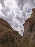 <B>Sky</B> <BR><FONT SIZE=2> Valley of Fire State Park, Nevada September 2006</FONT>