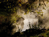 <B>Morning Mist </B> <BR><FONT SIZE=2><B> </B> <BR><FONT SIZE=2>Benton Hot Springs, California October 2006</FONT>