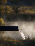 <B>Morning Light Show</B> <BR><FONT SIZE=2>Benton Hot Springs, California October 2006</FONT>