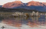Orange Morning Mono Lake, California, October 2006